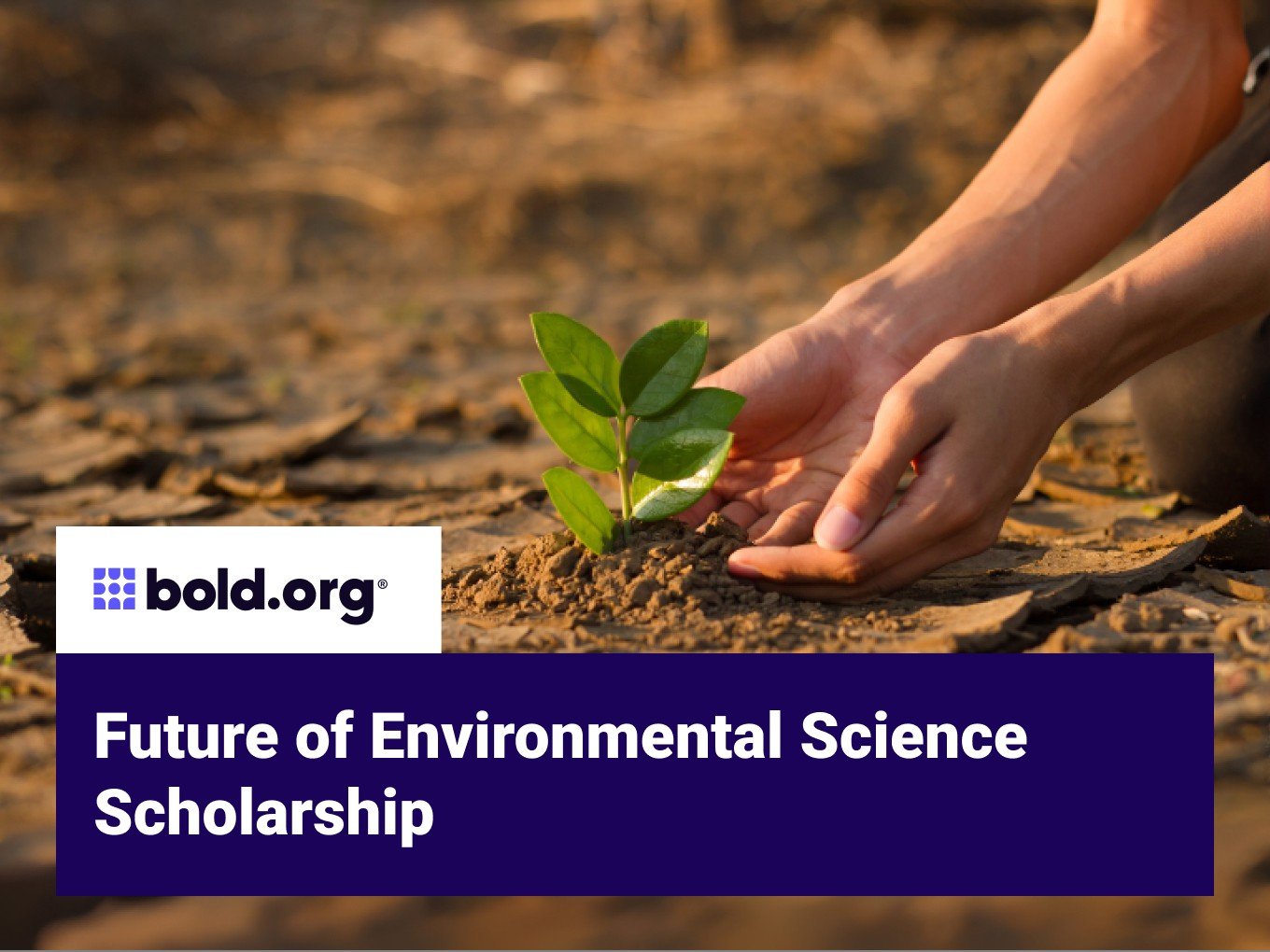 Scholarships for Environmental Science and Climate Change Scholarships for Environmental Science and Climate Change